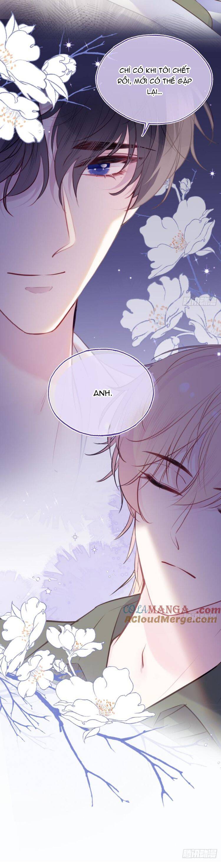 Anh Ấy Chưa Từng Rơi Xuống: Chapter 90