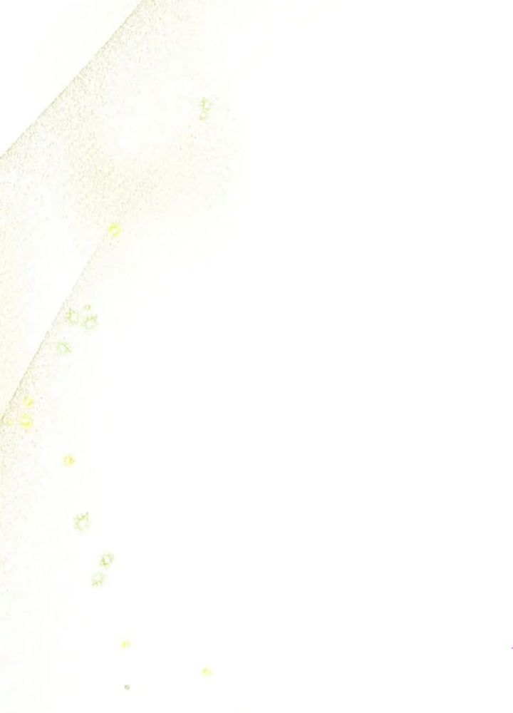 Anh Em Của Tôi Đều Là Nhân Vật Chính: Chapter 12