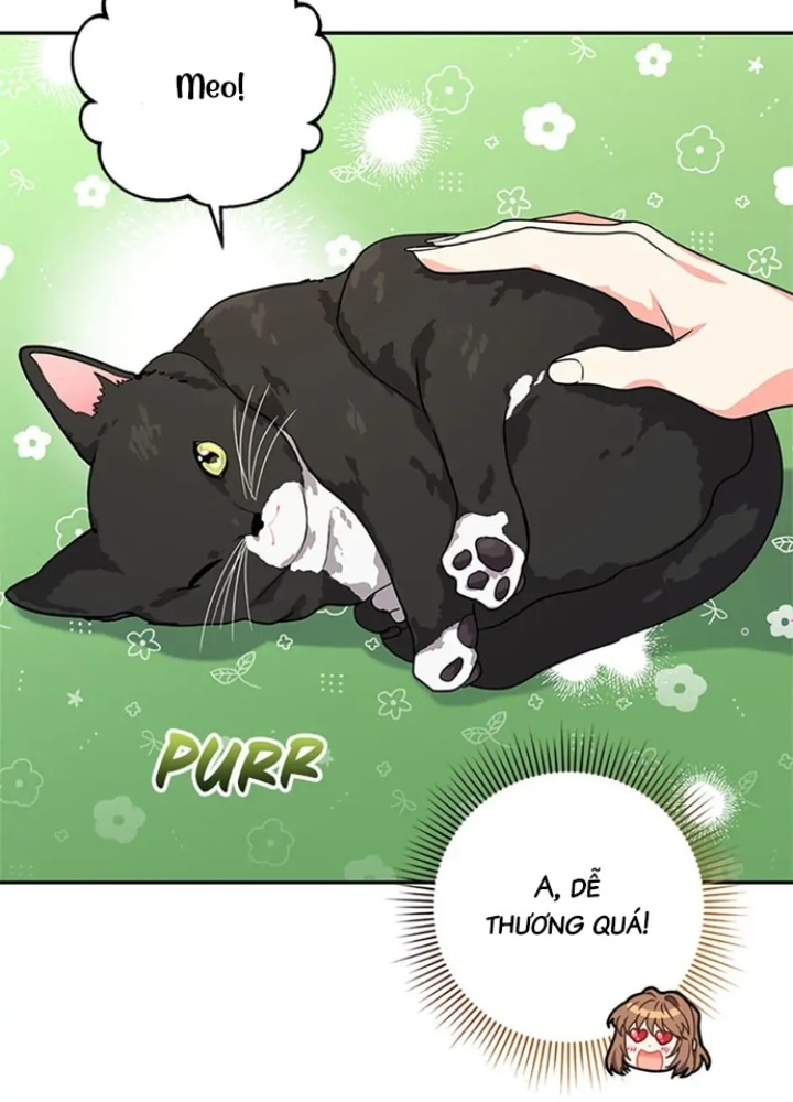 Anh Em Của Tôi Đều Là Nhân Vật Chính: Chapter 16