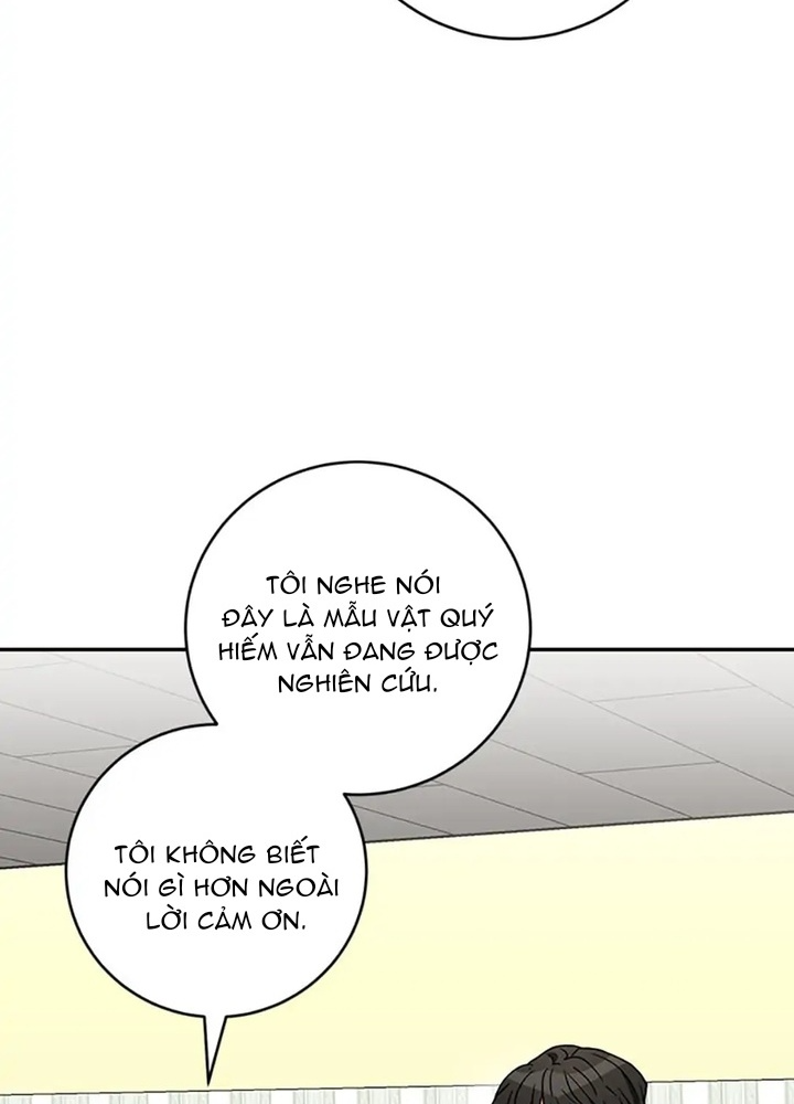 Anh Em Của Tôi Đều Là Nhân Vật Chính: Chapter 21