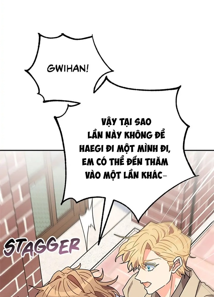 Anh Em Của Tôi Đều Là Nhân Vật Chính: Chapter 21