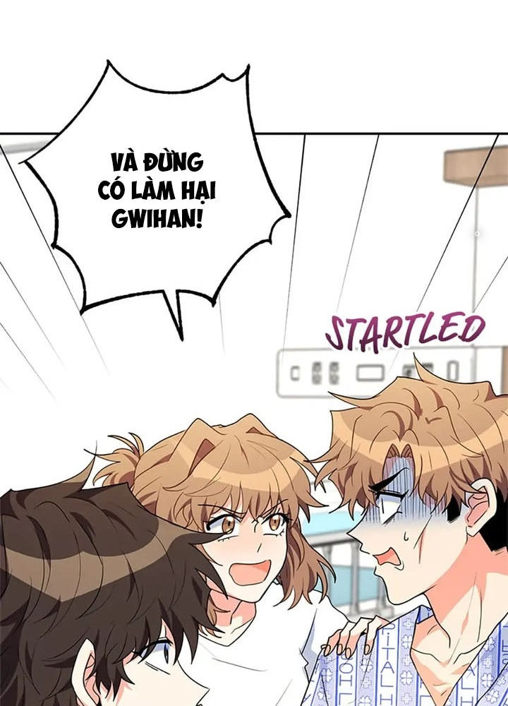 Anh Em Của Tôi Đều Là Nhân Vật Chính: Chapter 26