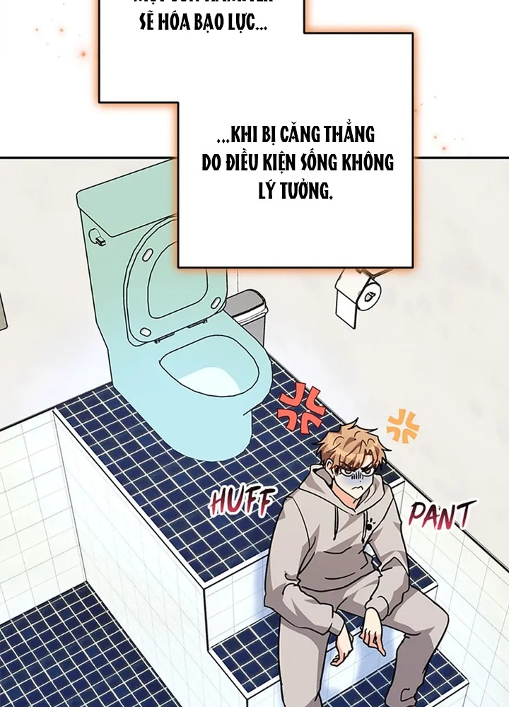 Anh Em Của Tôi Đều Là Nhân Vật Chính: Chapter 38