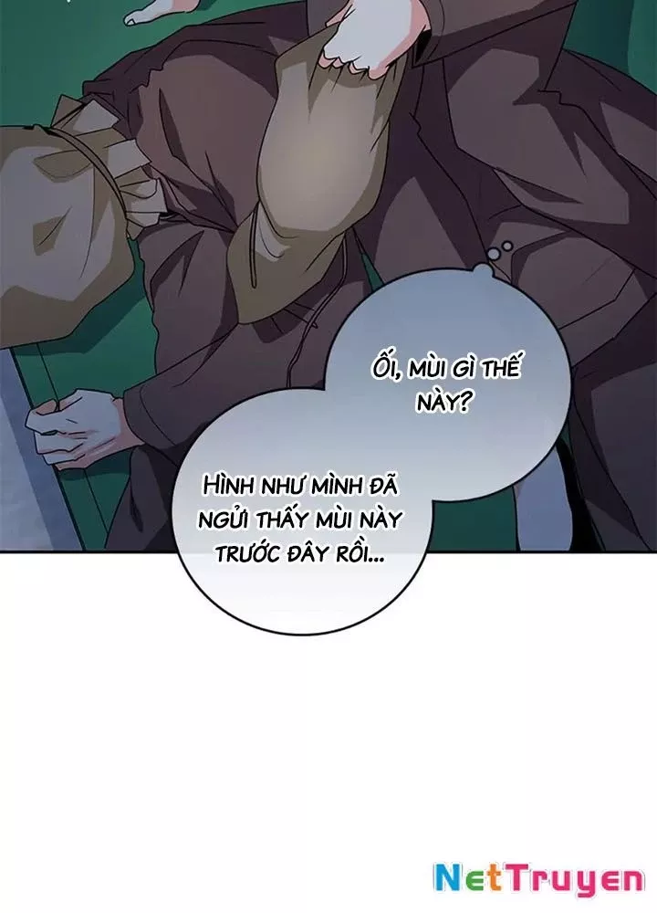Anh Em Của Tôi Đều Là Nhân Vật Chính: Chapter 67