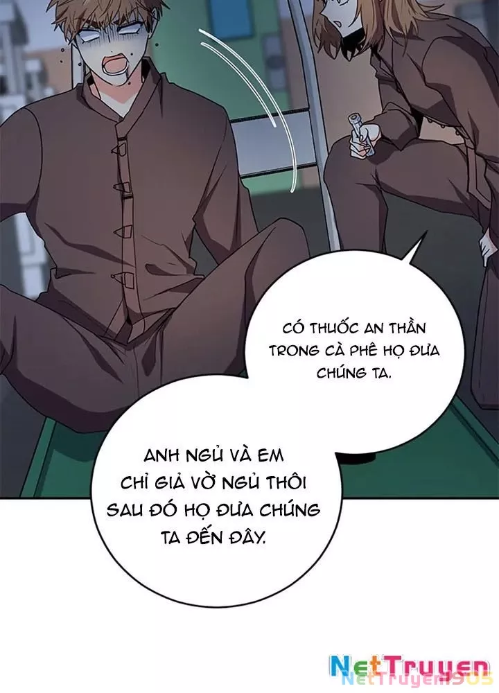 Anh Em Của Tôi Đều Là Nhân Vật Chính: Chapter 67