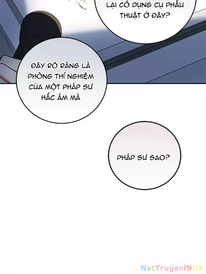 Anh Em Của Tôi Đều Là Nhân Vật Chính: Chapter 67