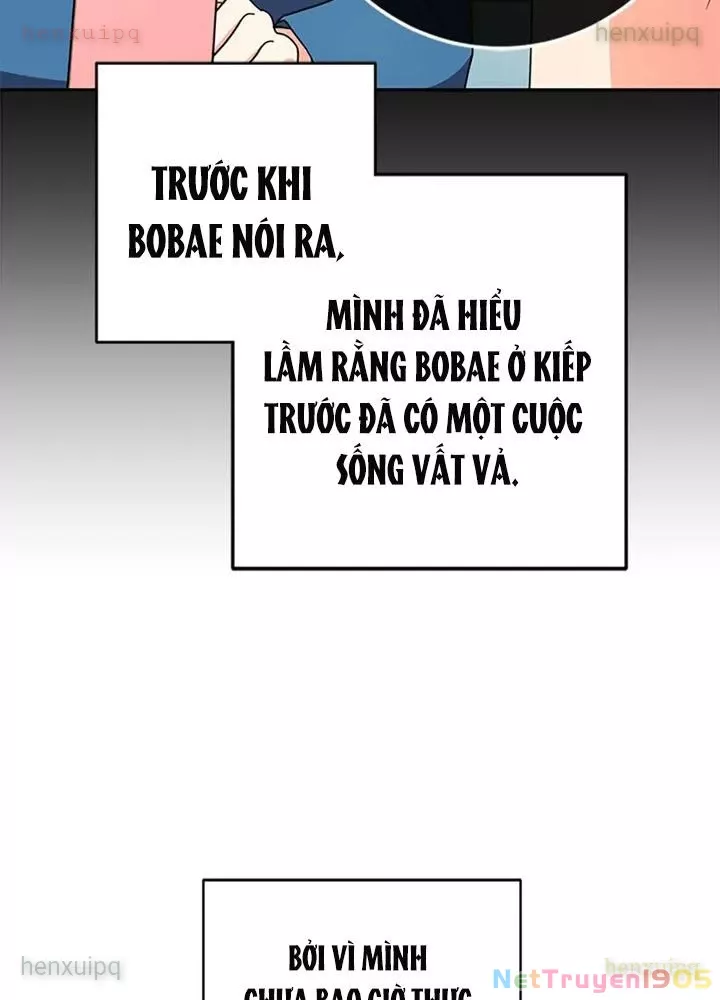 Anh Em Của Tôi Đều Là Nhân Vật Chính: Chapter 74