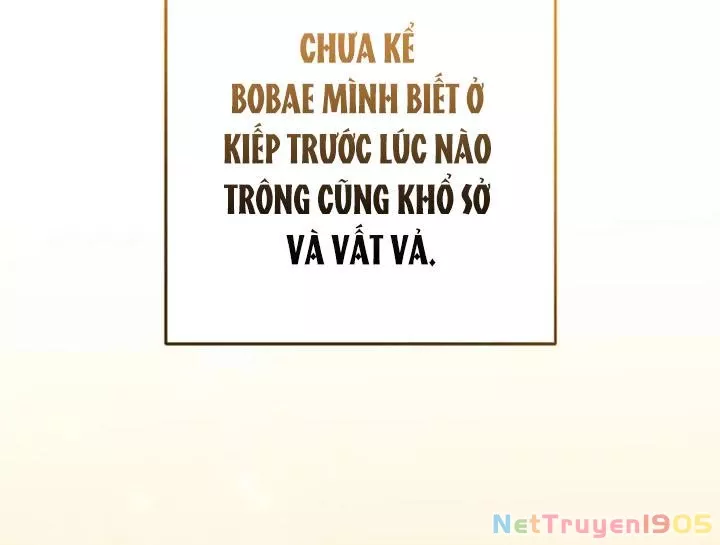 Anh Em Của Tôi Đều Là Nhân Vật Chính: Chapter 74