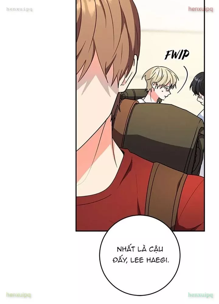 Anh Em Của Tôi Đều Là Nhân Vật Chính: Chapter 74