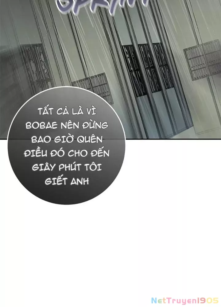 Anh Em Của Tôi Đều Là Nhân Vật Chính: Chapter 78