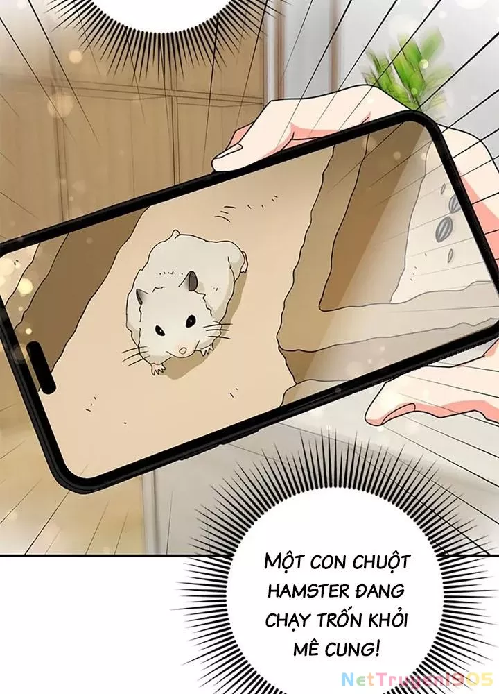 Anh Em Của Tôi Đều Là Nhân Vật Chính: Chapter 80