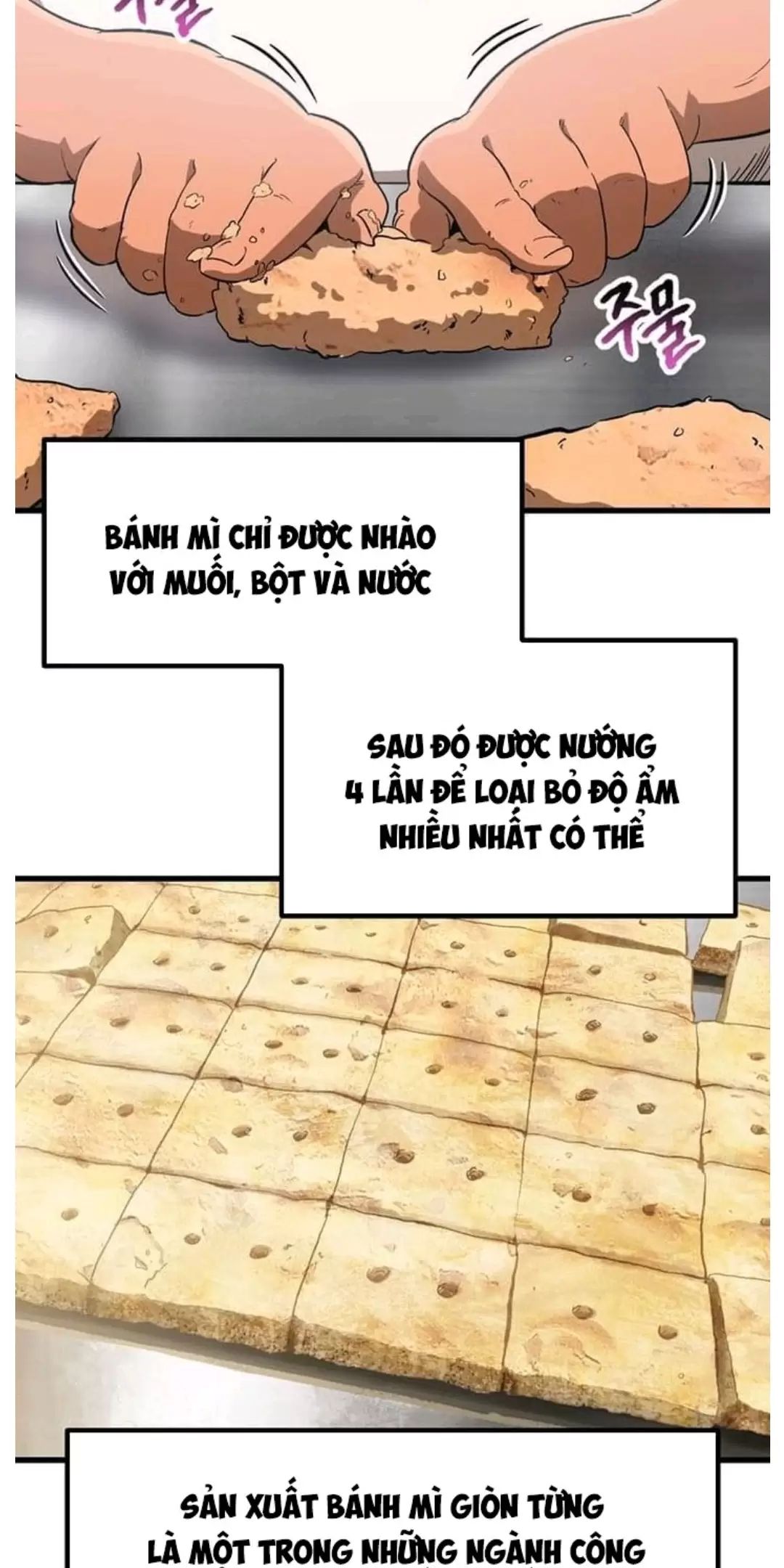 Anh Hùng Mạnh Nhất? Ta Không Làm Lâu Rồi!: Chapter 186