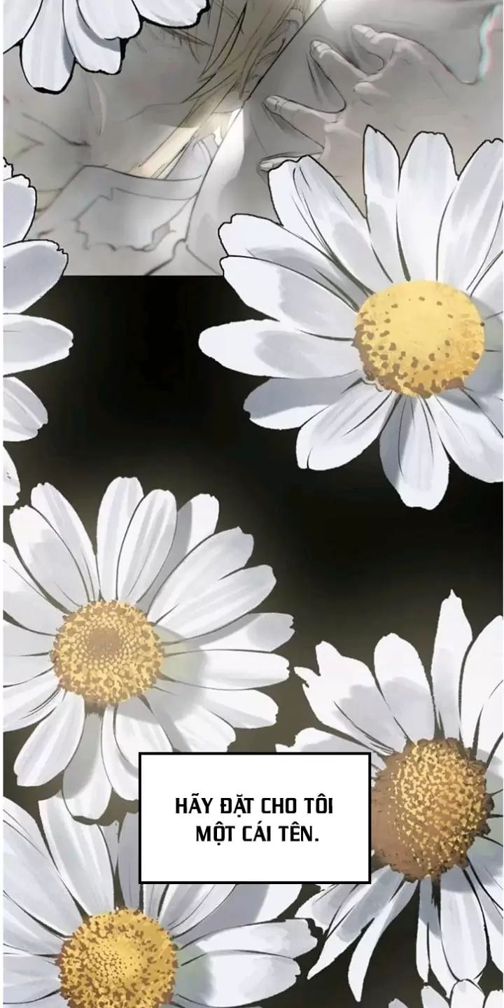 Anh Hùng Mạnh Nhất? Ta Không Làm Lâu Rồi!: Chapter 226