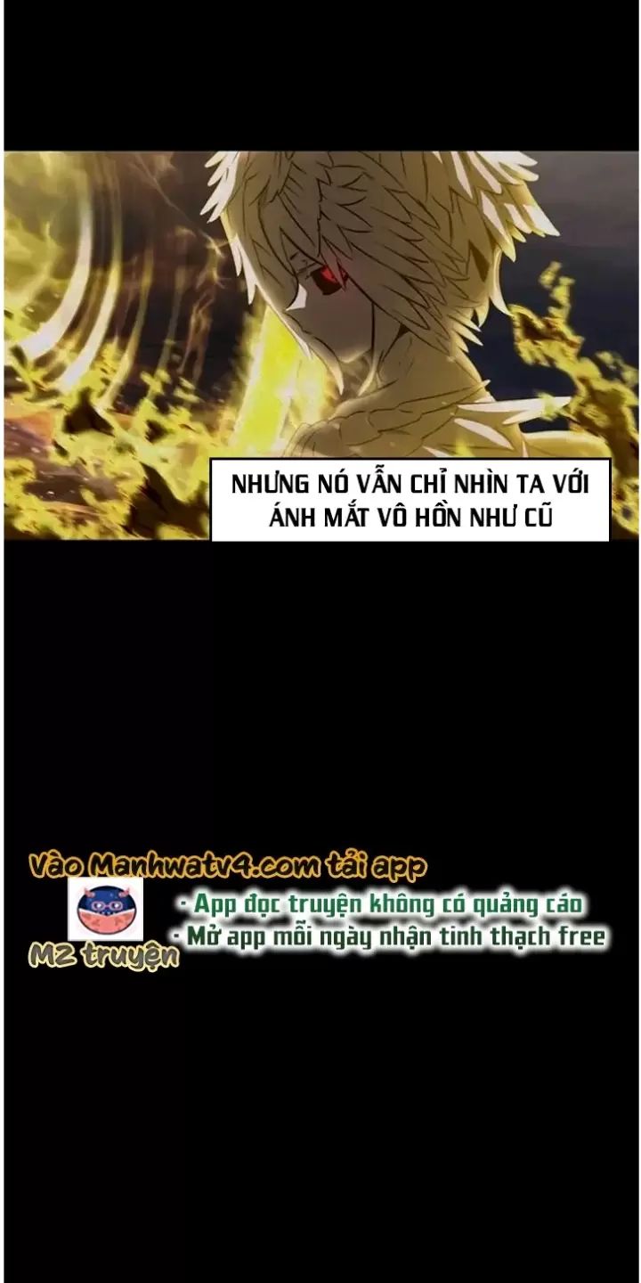 Anh Hùng Mạnh Nhất? Ta Không Làm Lâu Rồi!: Chapter 228