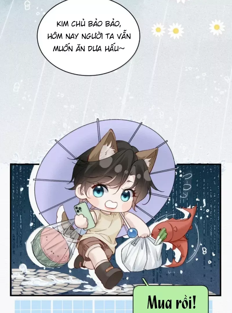 Ảnh Riêng Tư: Chapter 45