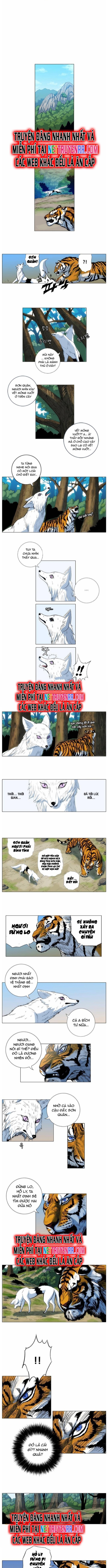 Anh Trai Tôi Là Hổ: Chapter 38
