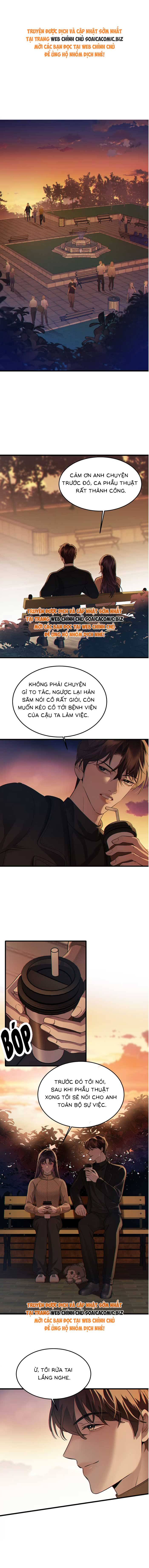 Áo Choàng Hoa Lệ: Chapter 12