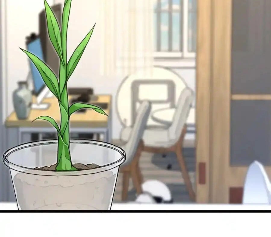 Bà Xã Nhà Tôi Đến Từ Ngàn Năm Trước: Chapter 274