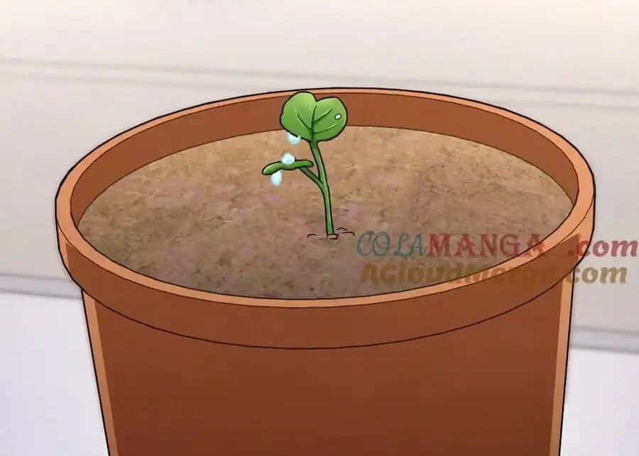 Bà Xã Nhà Tôi Đến Từ Ngàn Năm Trước: Chapter 274