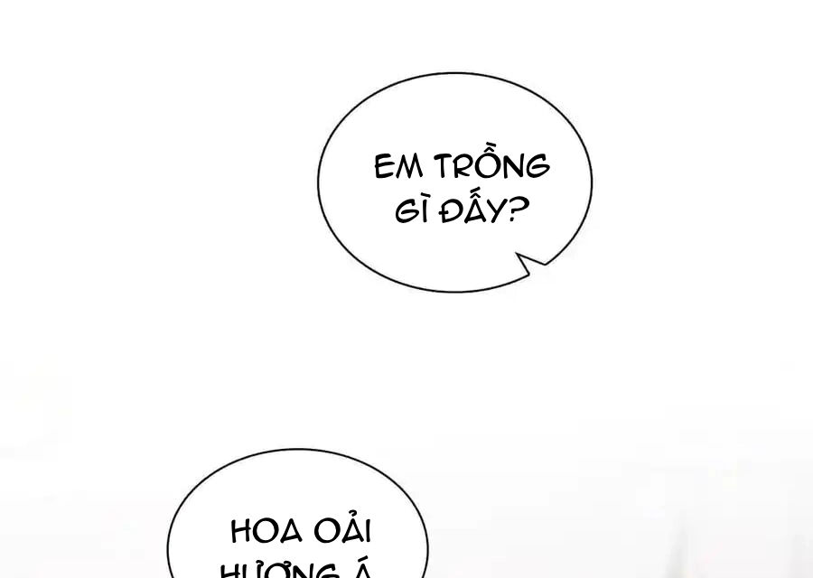 Bà Xã Nhà Tôi Đến Từ Ngàn Năm Trước: Chapter 274