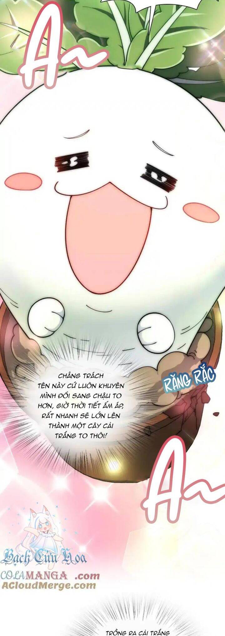 Bà Xã Nhà Tôi Đến Từ Ngàn Năm Trước: Chapter 285