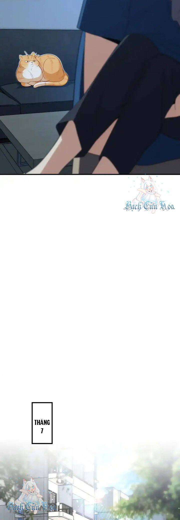 Bà Xã Nhà Tôi Đến Từ Ngàn Năm Trước: Chapter 315