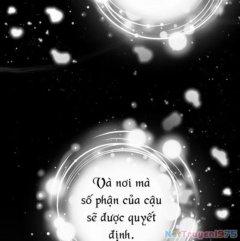 Bậc Thầy Toàn Bộ Kỹ Năng: Chapter 1