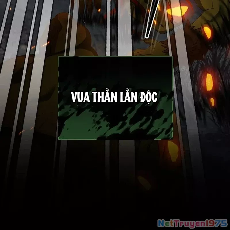 Bậc Thầy Toàn Bộ Kỹ Năng: Chapter 11