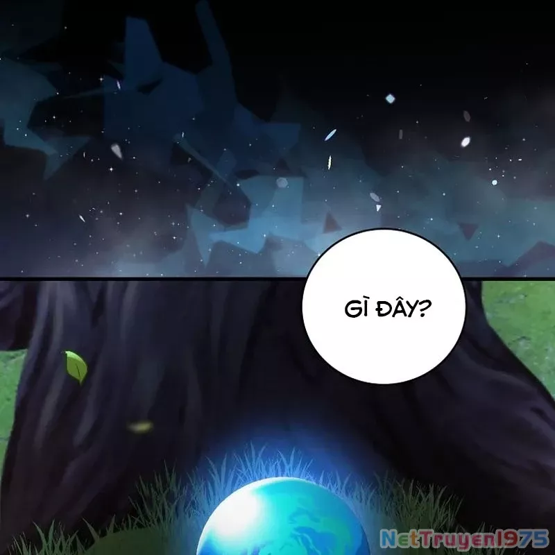 Bậc Thầy Toàn Bộ Kỹ Năng: Chapter 12