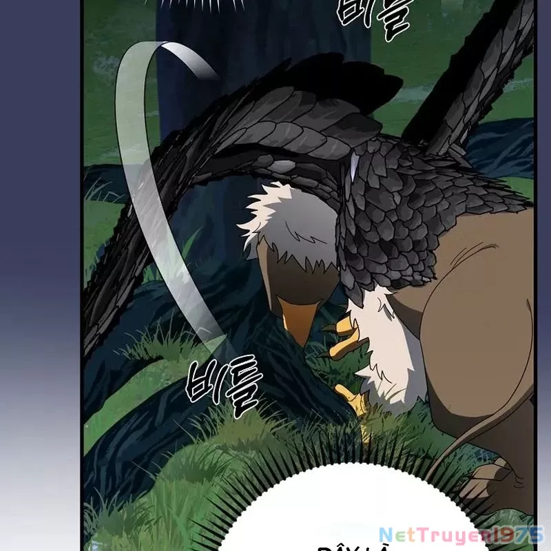 Bậc Thầy Toàn Bộ Kỹ Năng: Chapter 12