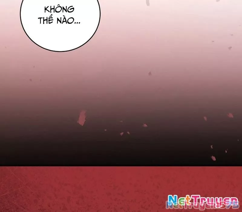 Bậc Thầy Toàn Bộ Kỹ Năng: Chapter 4