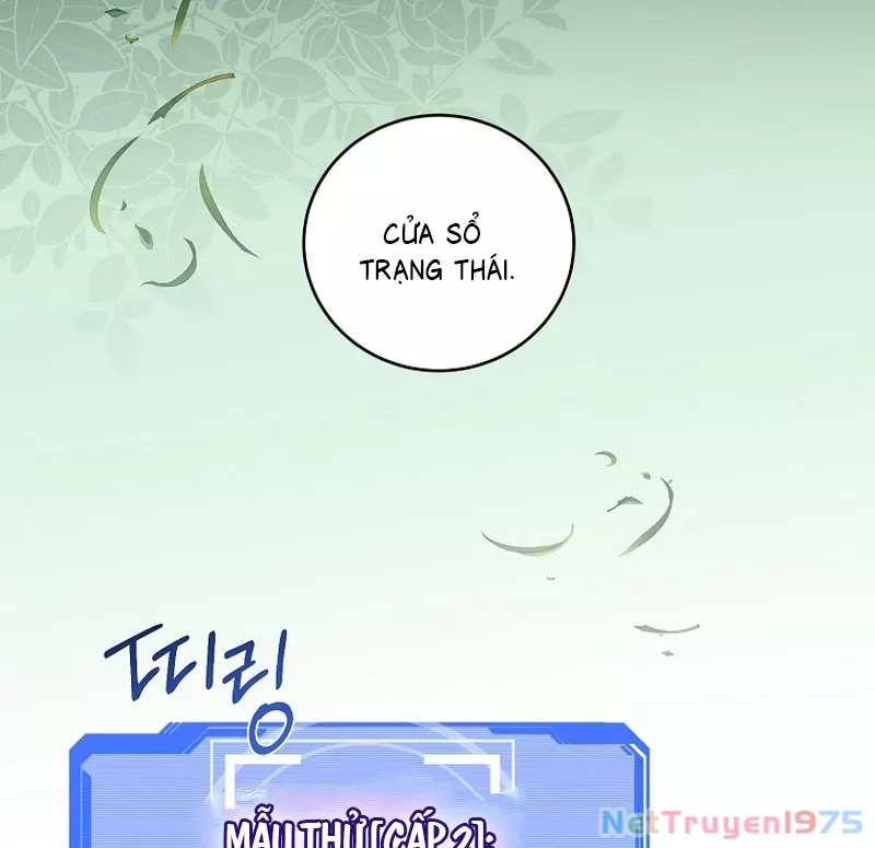 Bậc Thầy Toàn Bộ Kỹ Năng: Chapter 7