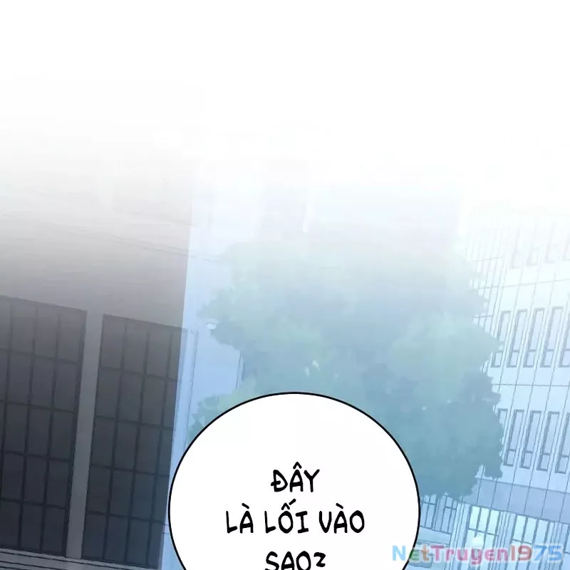 Bậc Thầy Toàn Bộ Kỹ Năng: Chapter 8
