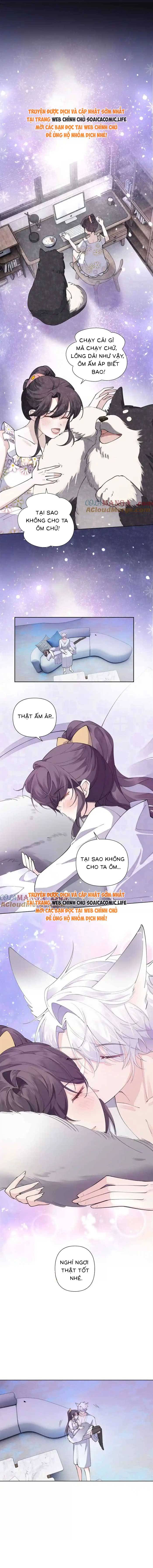 Ban Ngày Đào Hôn, Ban Đêm Lại Được Xin Ôm: Chapter 40