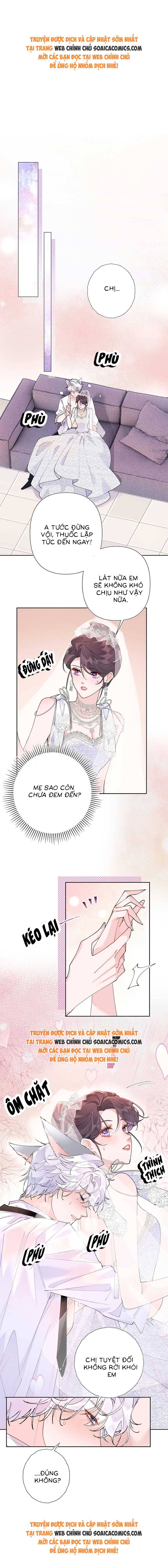 Ban Ngày Đào Hôn, Ban Đêm Lại Được Xin Ôm: Chapter 5