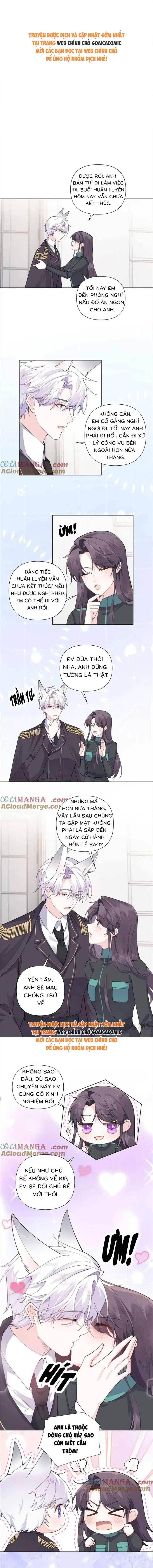 Ban Ngày Đào Hôn, Ban Đêm Lại Được Xin Ôm: Chapter 56