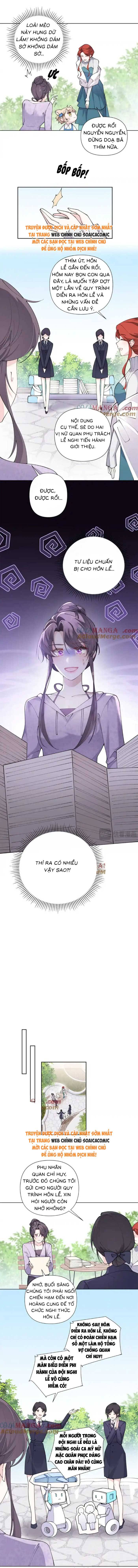 Ban Ngày Đào Hôn, Ban Đêm Lại Được Xin Ôm: Chapter 62