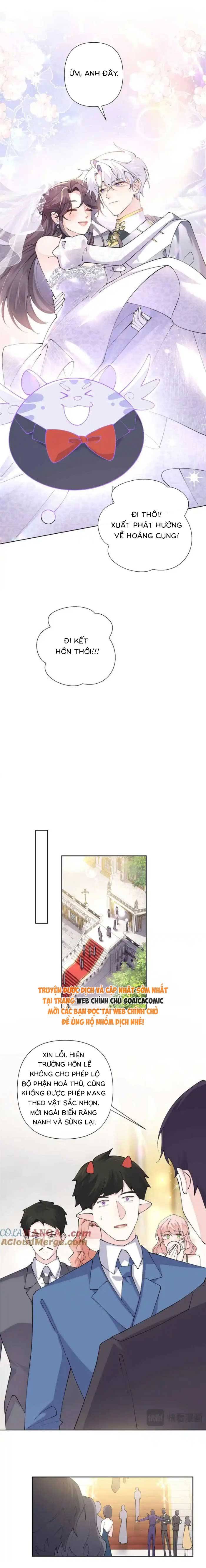 Ban Ngày Đào Hôn, Ban Đêm Lại Được Xin Ôm: Chapter 66