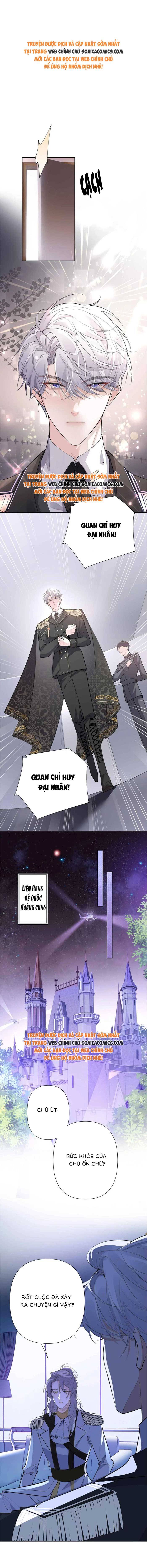 Ban Ngày Đào Hôn, Ban Đêm Lại Được Xin Ôm: Chapter 8