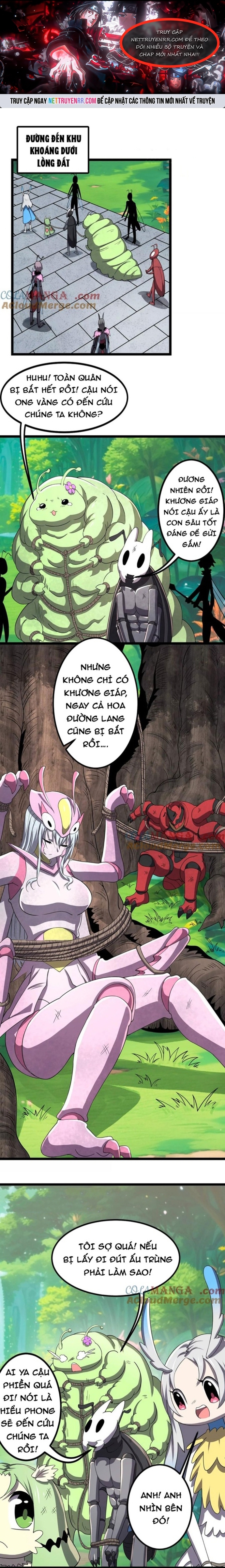 Bản Sao Của Tôi Là Trùng Vương Không Gian: Chapter 11