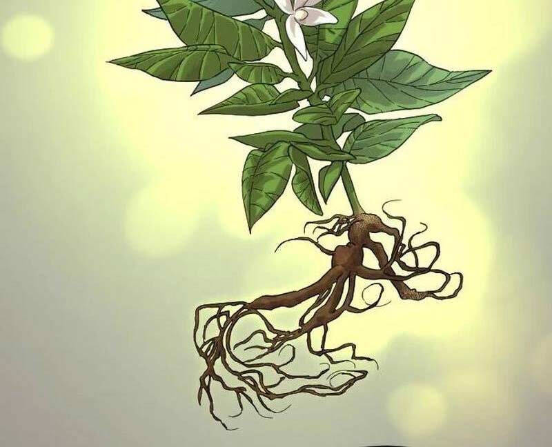 Bạn Thuở Nhỏ Của Tôi Là Trùm Cuối Hầm Ngục: Chapter 115