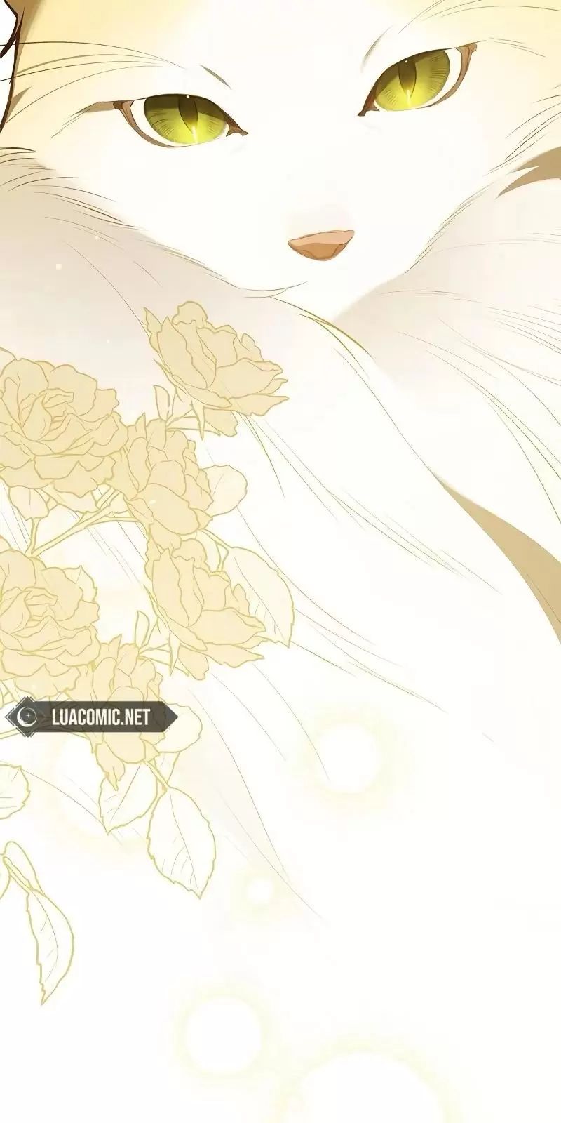 Bạo Chúa Bé Con: Chapter 85