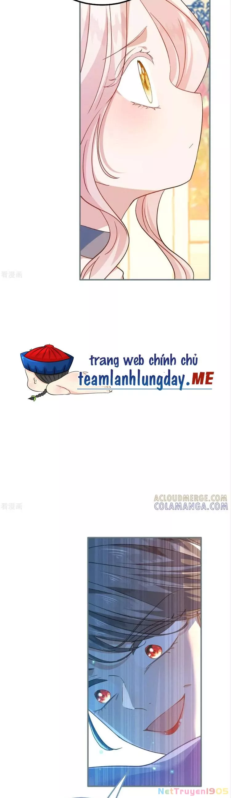 Bạo Quân Khát Máu Hóa Ra Là Chồng Cũ Của Tôi: Chapter 41