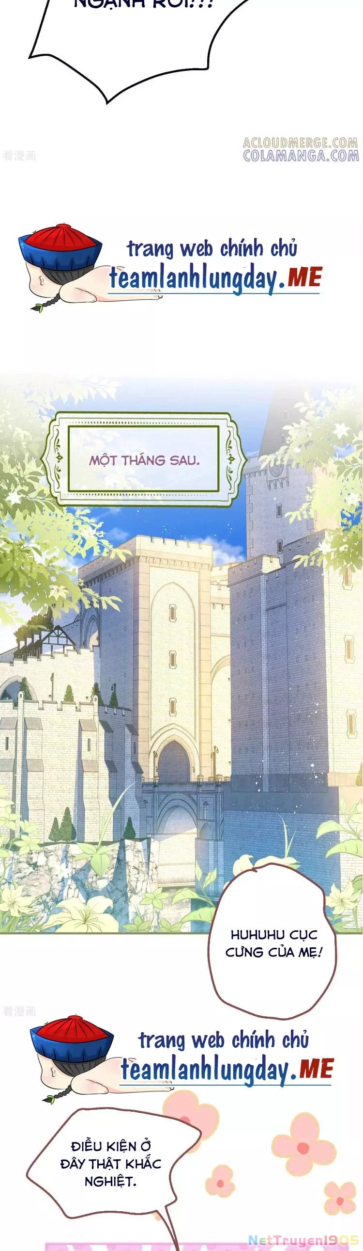 Bạo Quân Khát Máu Hóa Ra Là Chồng Cũ Của Tôi: Chapter 44