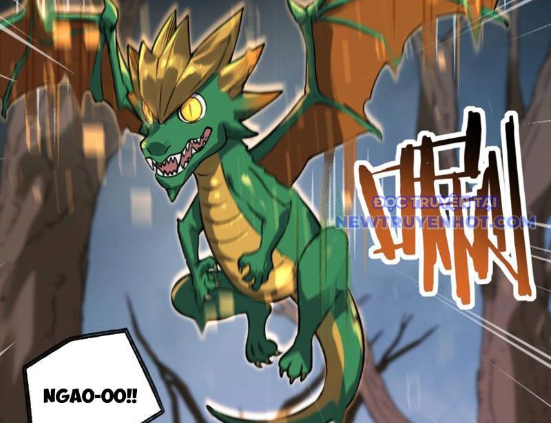 Bắt Đầu Chuyển Chức Tài Thần, Ta Chuyển Hóa Triệu Vạn Thần Sủng: Chapter 5