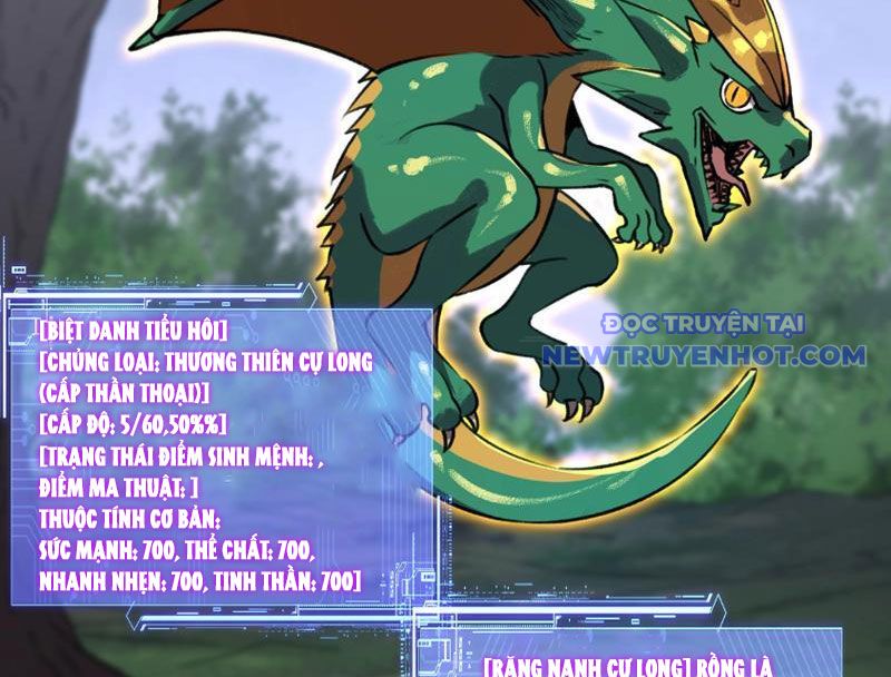 Bắt Đầu Chuyển Chức Tài Thần, Ta Chuyển Hóa Triệu Vạn Thần Sủng: Chapter 5