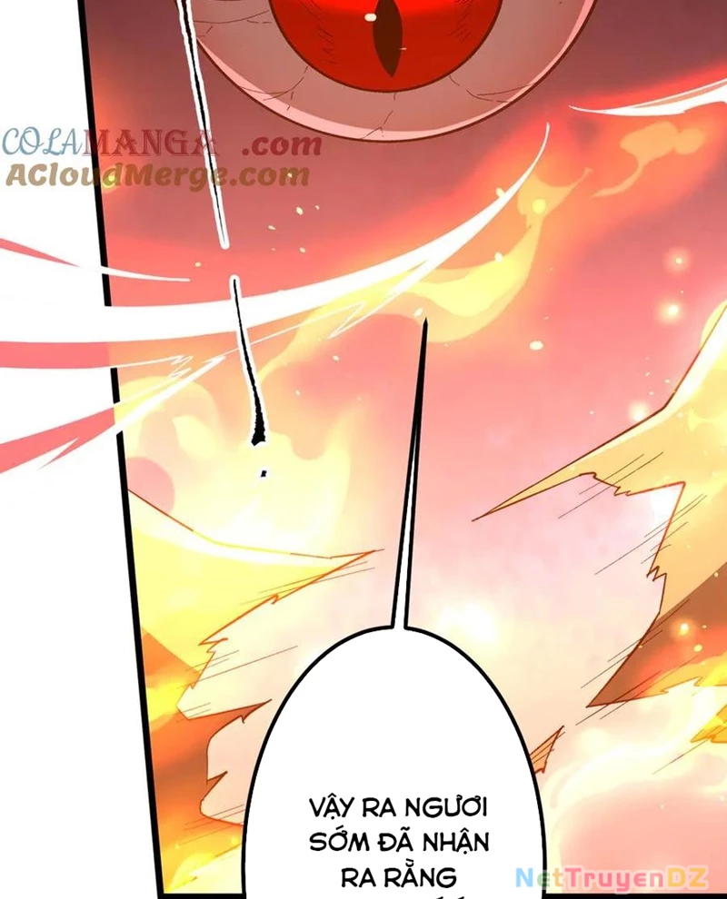 Bắt Đầu Với Trăm Vạn Minh Tệ: Chapter 201