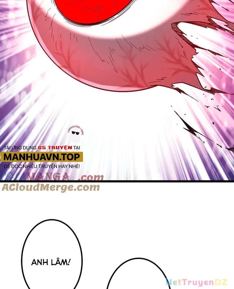 Bắt Đầu Với Trăm Vạn Minh Tệ: Chapter 201