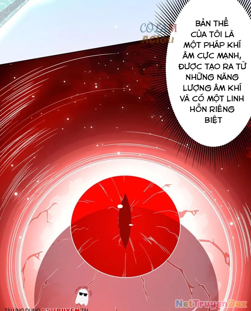 Bắt Đầu Với Trăm Vạn Minh Tệ: Chapter 203