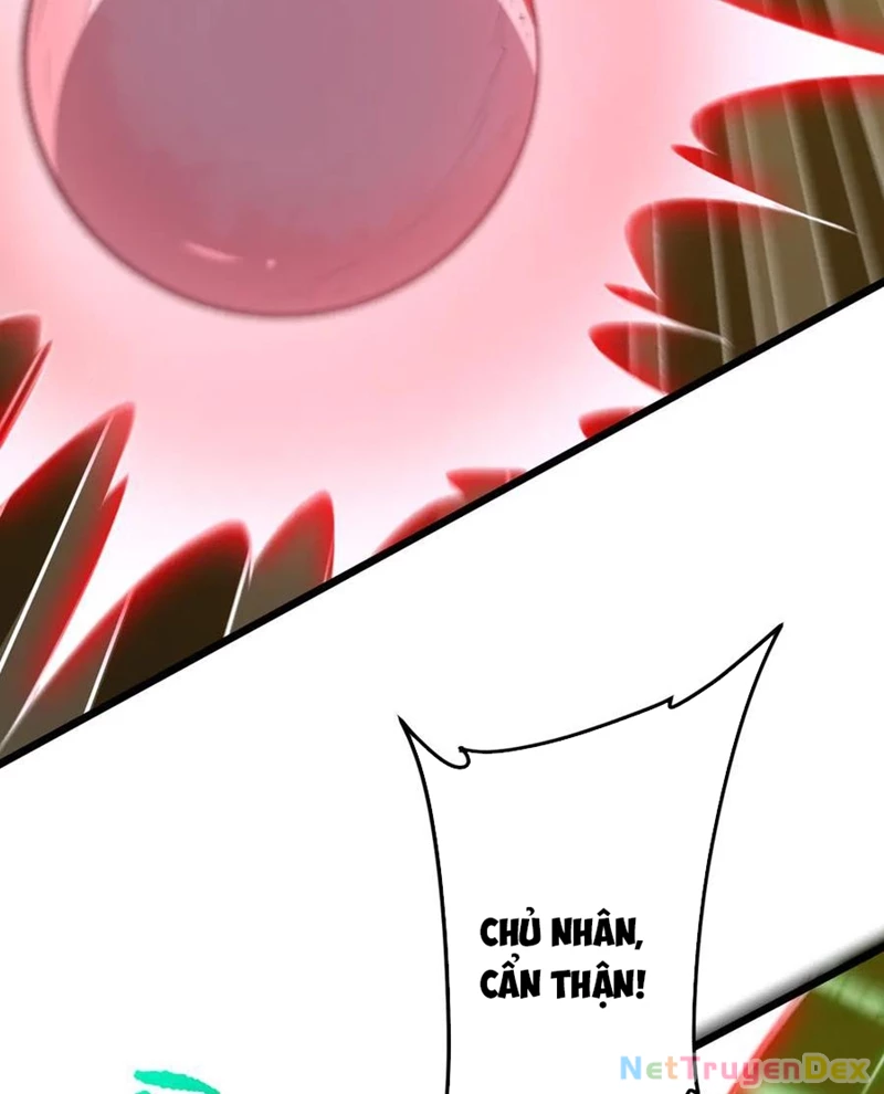 Bắt Đầu Với Trăm Vạn Minh Tệ: Chapter 205